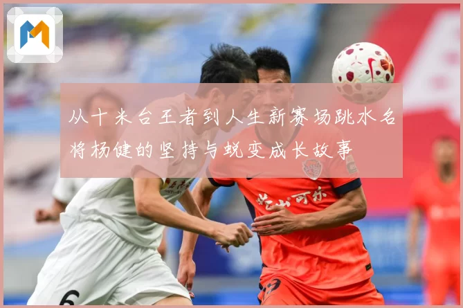 从十米台王者到人生新赛场跳水名将杨健的坚持与蜕变成长故事