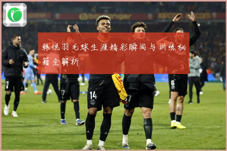 韩悦羽毛球生涯精彩瞬间与训练秘籍全解析