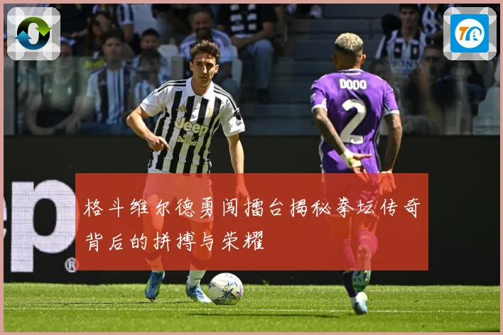 格斗维尔德勇闯擂台揭秘拳坛传奇背后的拼搏与荣耀