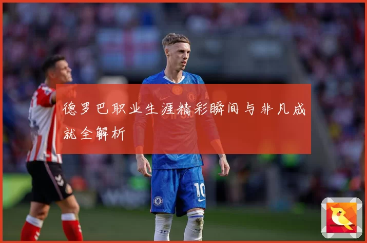 德罗巴职业生涯精彩瞬间与非凡成就全解析