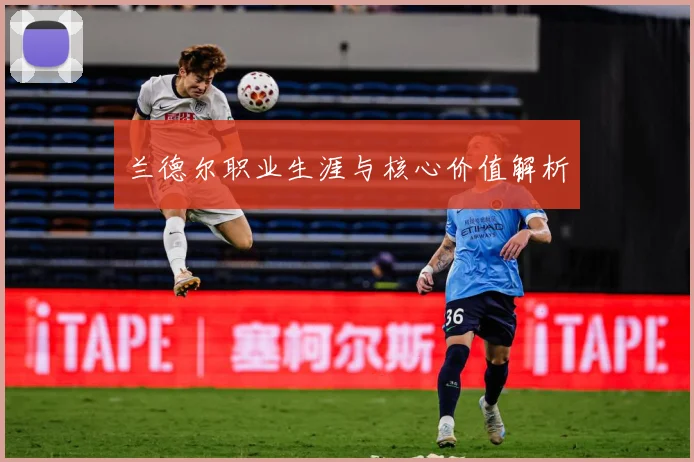 兰德尔职业生涯与核心价值解析